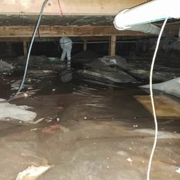 A man is standing in a flooded basement.